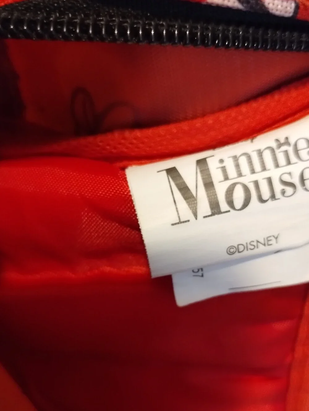 Disney this minnie